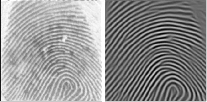 Fingerprint Image Enhancement with Gabor Filter