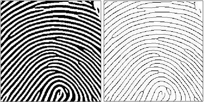 Skeletonization of a binariazed image